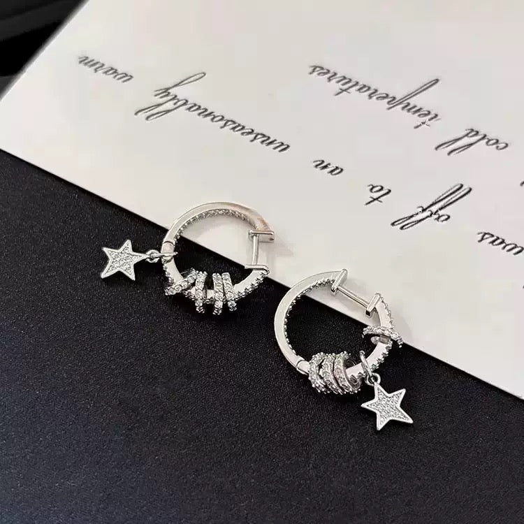 4831Fashion earrings