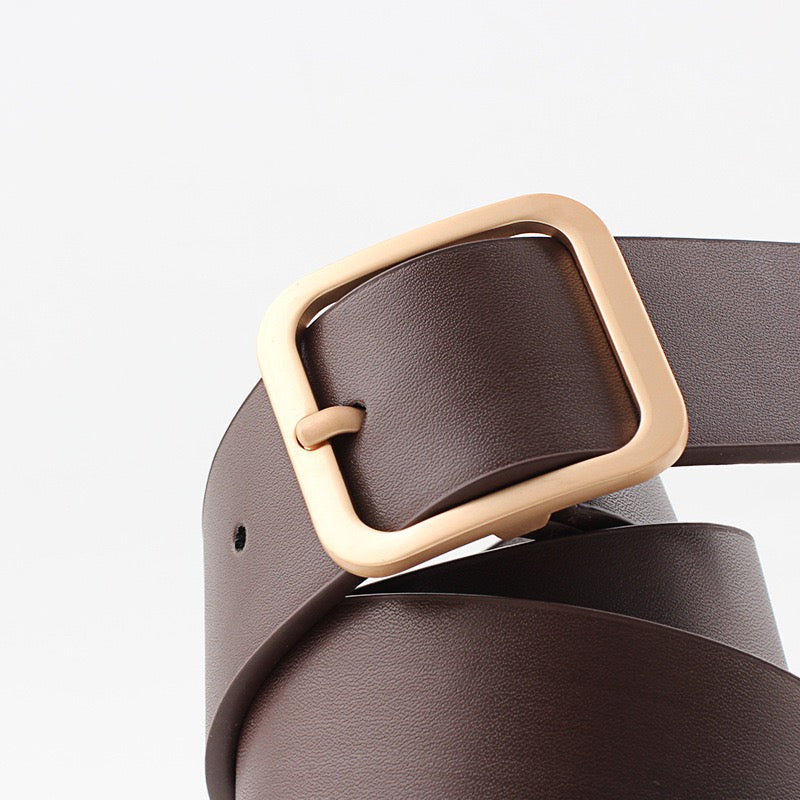 3695 Designer belt