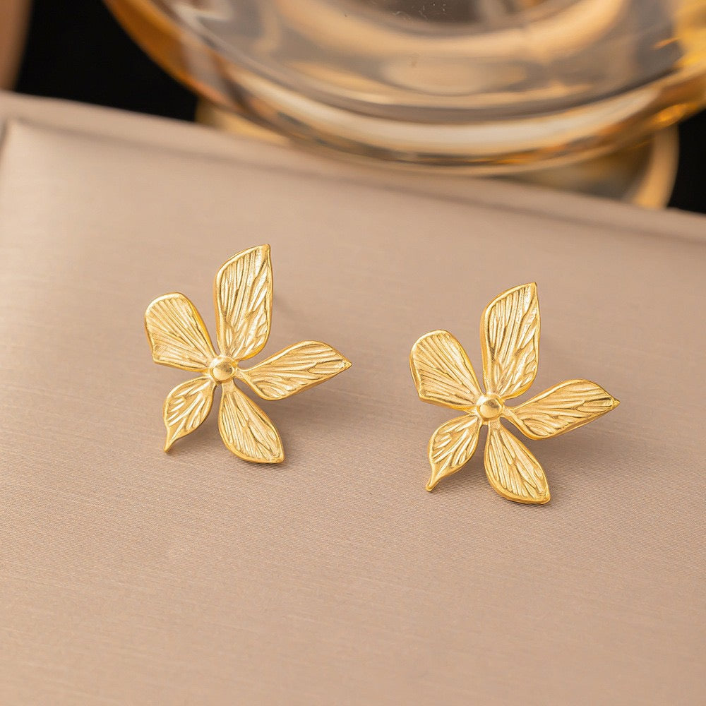 3685 Women's Accessories