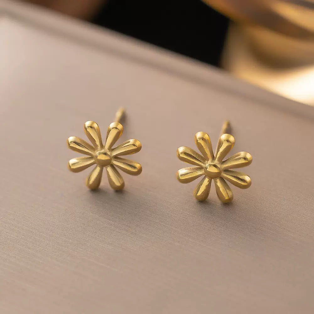 3684 Fashion Earrings