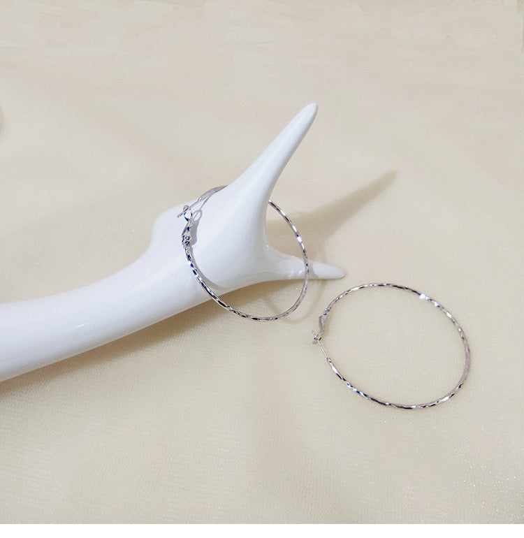 1608-1 Earrings For Women