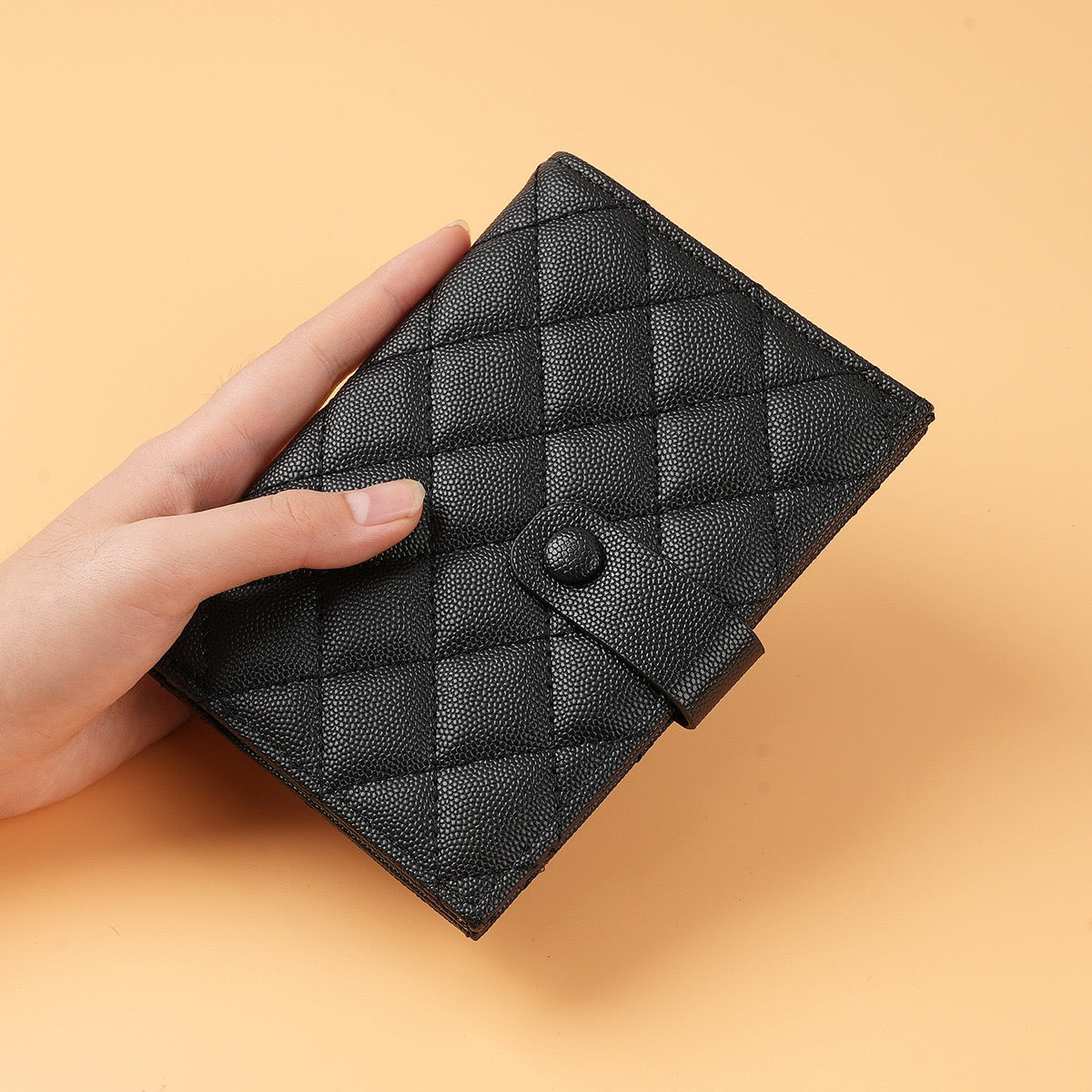 3876 Fashion Passport Holder Wallet