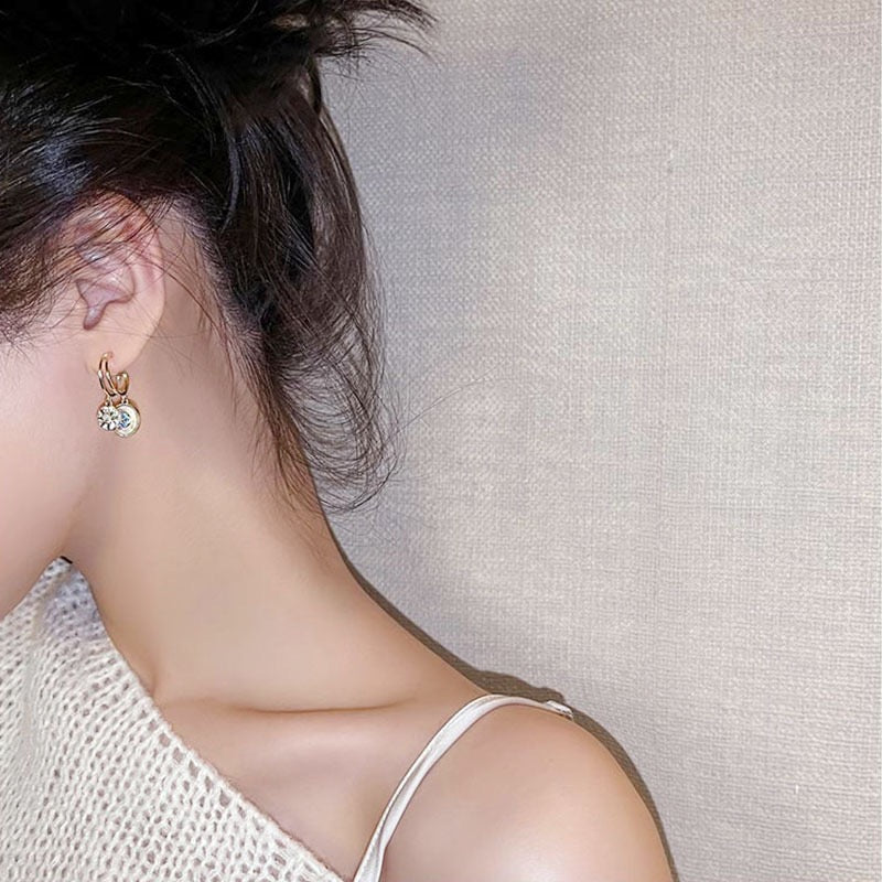 3694 Fashionable Women's Earrings