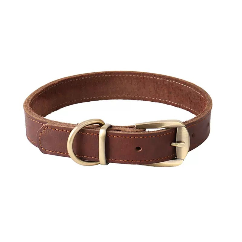 4066 Designer Dog Collar