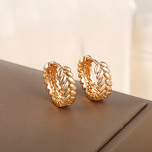2565 Geometric circle zircon earring